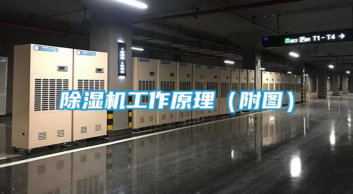 除湿机工作原理(附图)