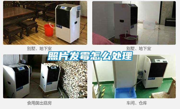 照片发霉怎么处理
