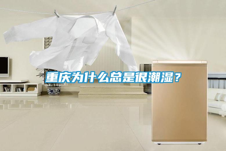 重庆为什么总是很潮湿？