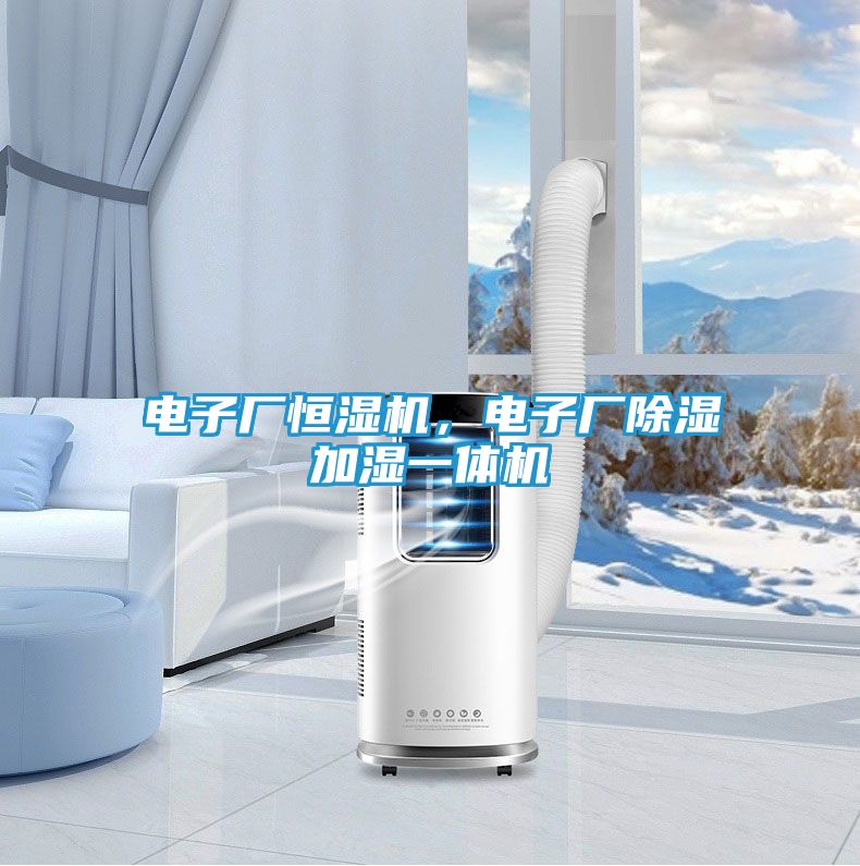 电子厂恒湿机,电子厂除湿加湿一体机