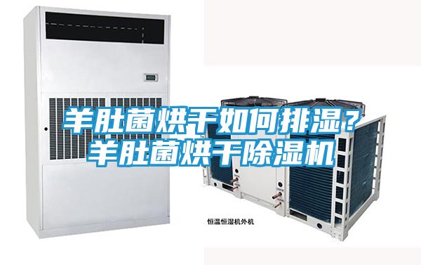 羊肚菌烘干如何排湿？羊肚菌烘干除湿机