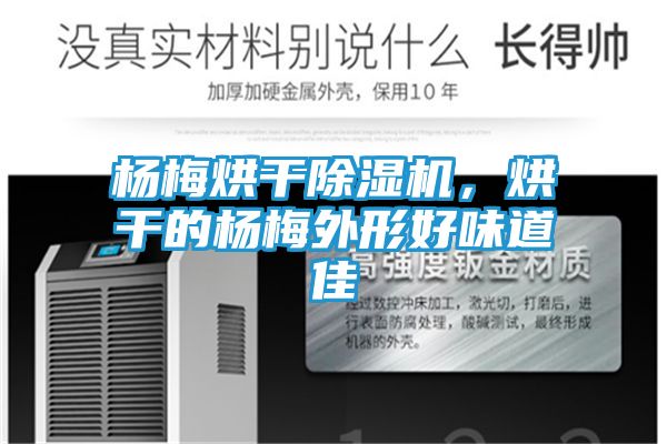 杨梅烘干除湿机,烘干的杨梅外形好味道佳