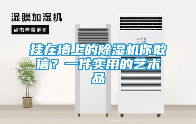 挂在墙上的除湿机你敢信？一件实用的艺术品