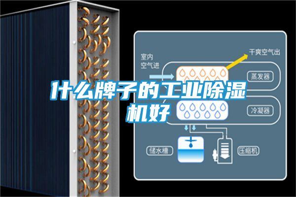 什么牌子的工业除湿机好