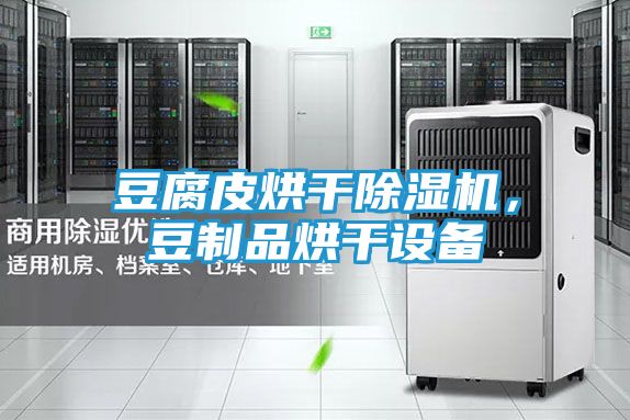 豆腐皮烘干除湿机，豆制品烘干设备