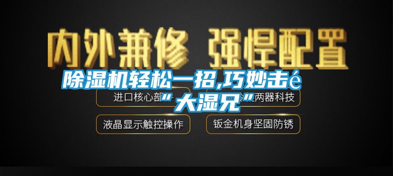 除湿机轻松一招,巧妙击退“大湿兄”