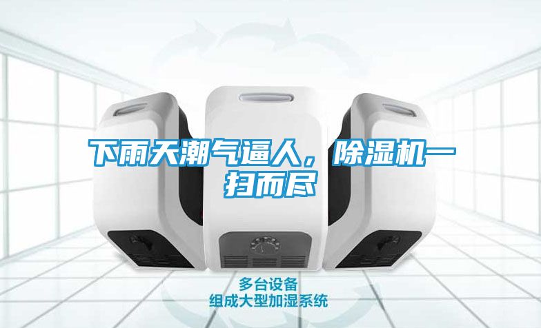 下雨天潮气逼人，除湿机一扫而尽