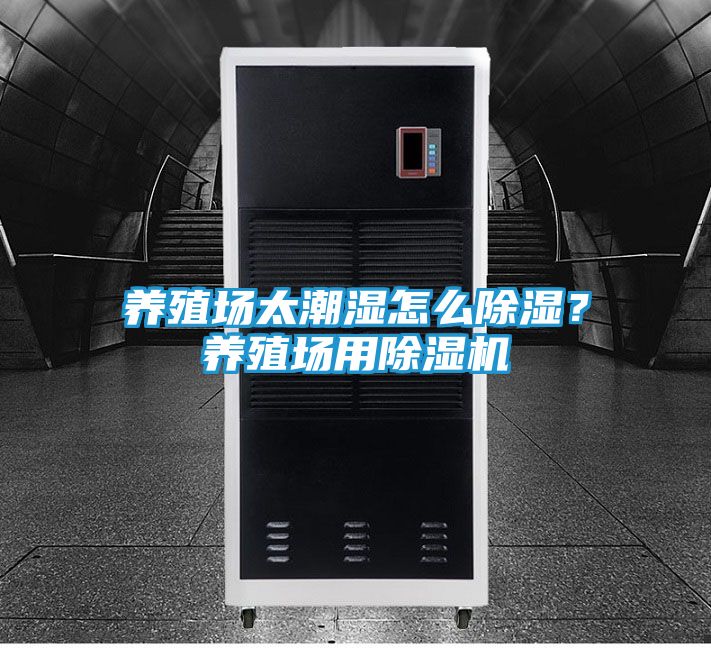 养殖场太潮湿怎么除湿？养殖场用除湿机