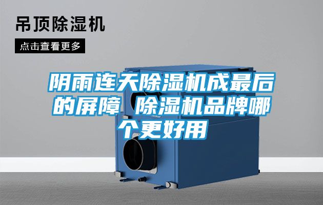 阴雨连天除湿机成最后的屏障 除湿机品牌哪个更好用