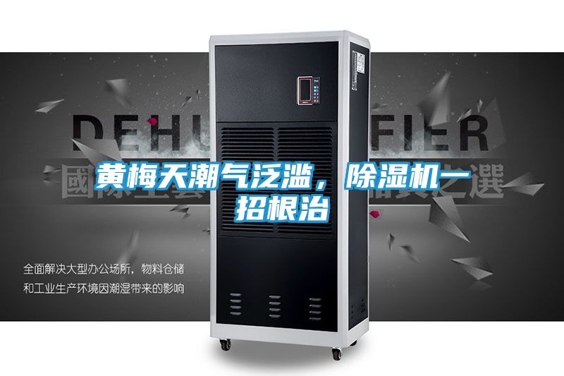 黄梅天潮气泛滥,除湿机一招根治