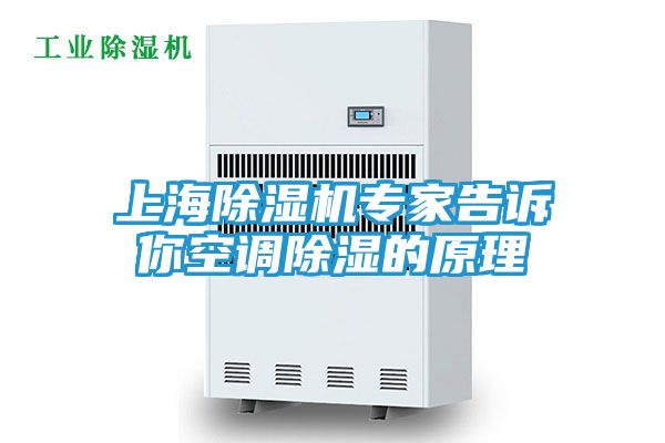 上海除湿机专家告诉你空调除湿的原理