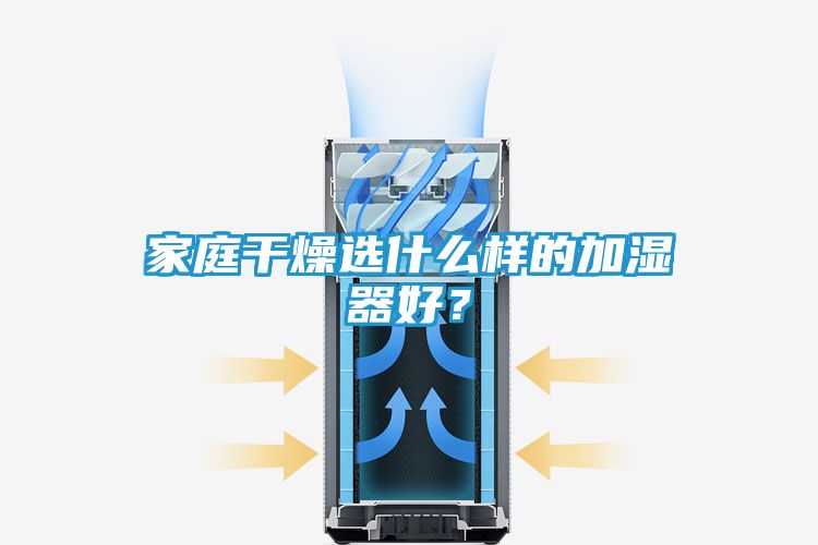 家庭干燥选什么样的加湿器好？
