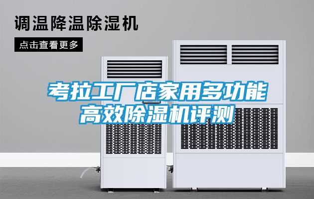 考拉工厂店家用多功能高效除湿机评测