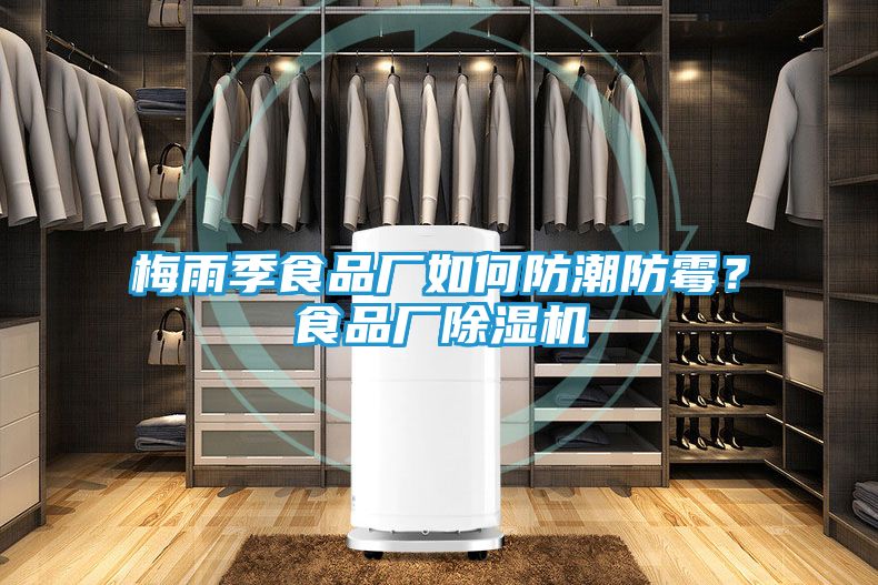 梅雨季食品厂如何防潮防霉？食品厂除湿机