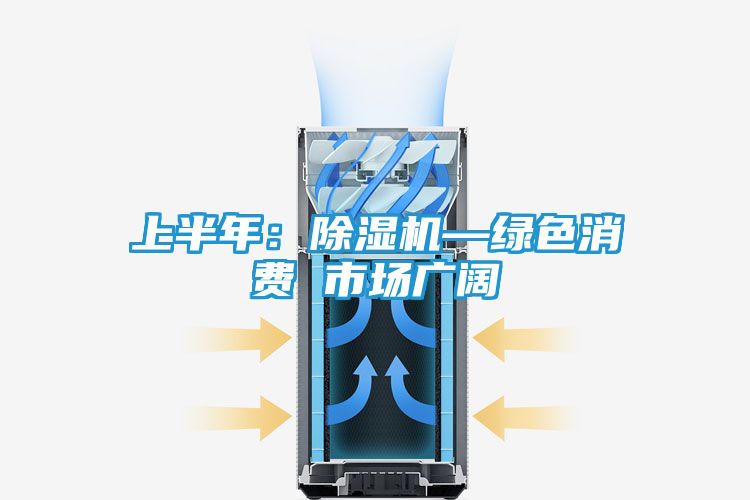 上半年：除湿机—绿色消费 市场广阔