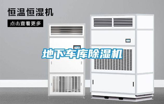 地下车库除湿机