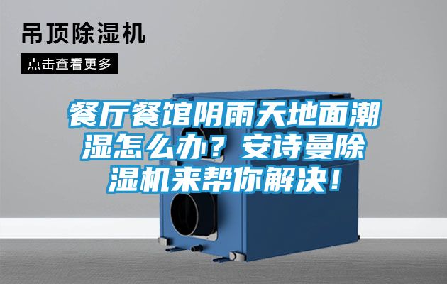 餐厅餐馆阴雨天地面潮湿怎么办?安诗曼除湿机来帮你解决!