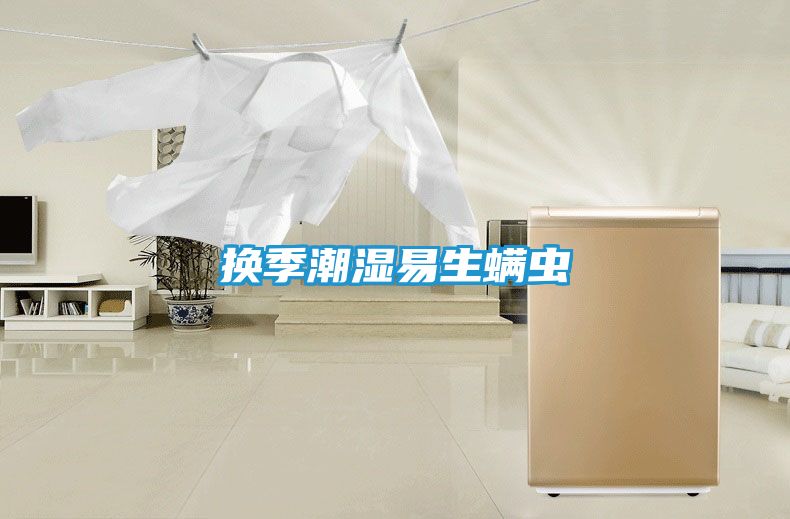 换季潮湿易生螨虫