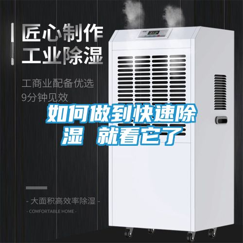 如何做到快速除湿 就看它了