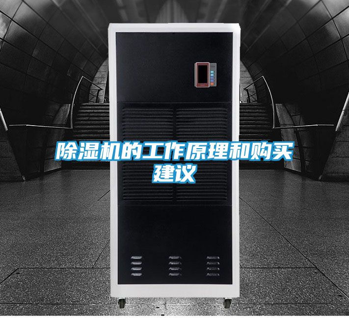 除湿机的工作原理和购买建议