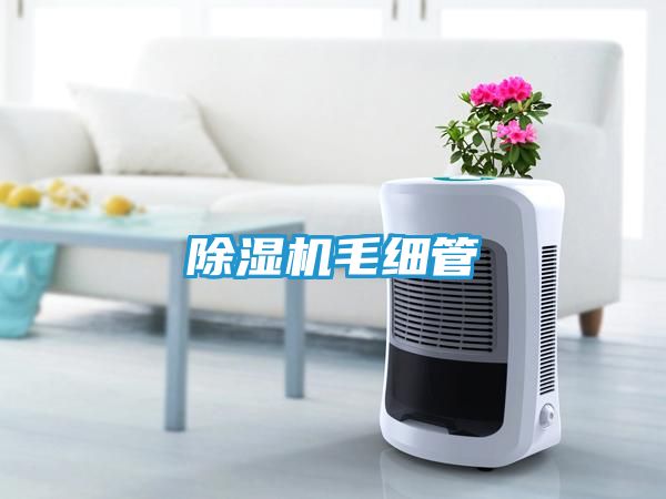 除湿机毛细管