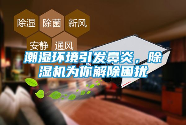 潮湿环境引发鼻炎,除湿机为你解除困扰