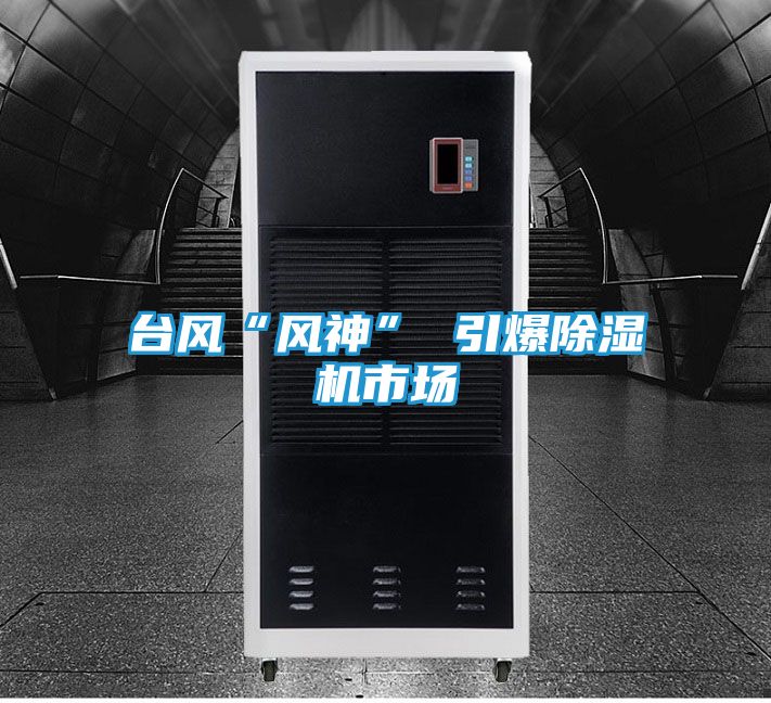 台风“风神” 引爆除湿机市场