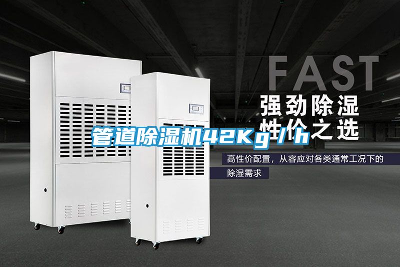 管道除湿机42Kg／h