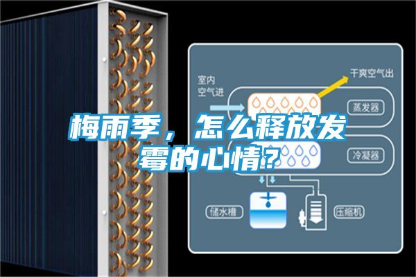 梅雨季，怎么释放发霉的心情？