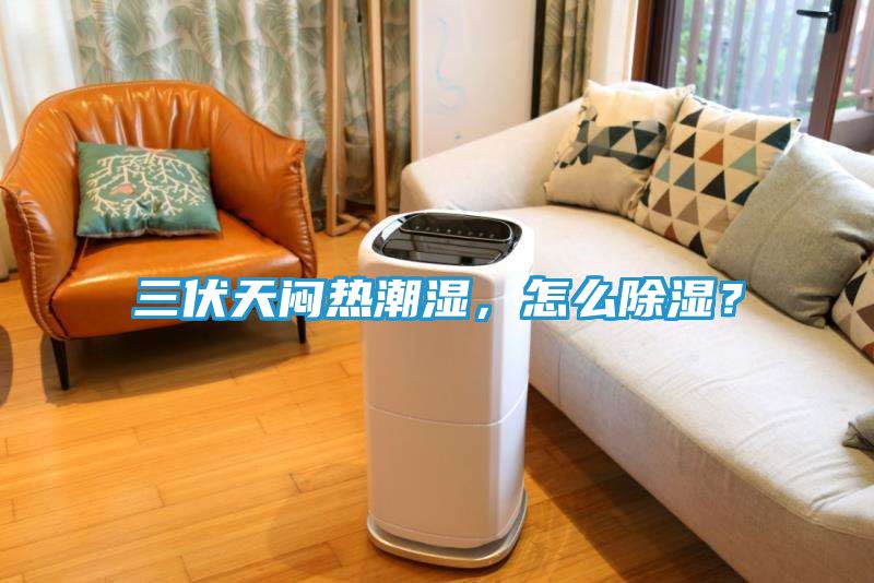 三伏天闷热潮湿，怎么除湿？