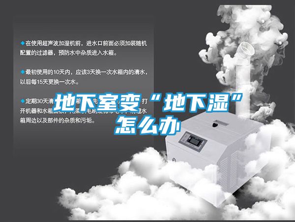 地下室变“地下湿”怎么办