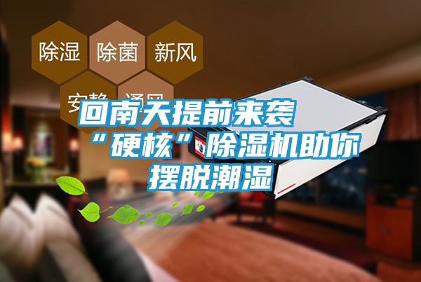 回南天提前来袭 “硬核”除湿机助你摆脱潮湿