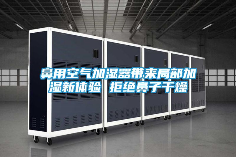 鼻用空气加湿器带来局部加湿新体验 拒绝鼻子干燥