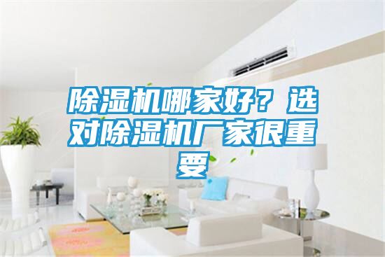 除湿机哪家好？选对除湿机厂家很重要