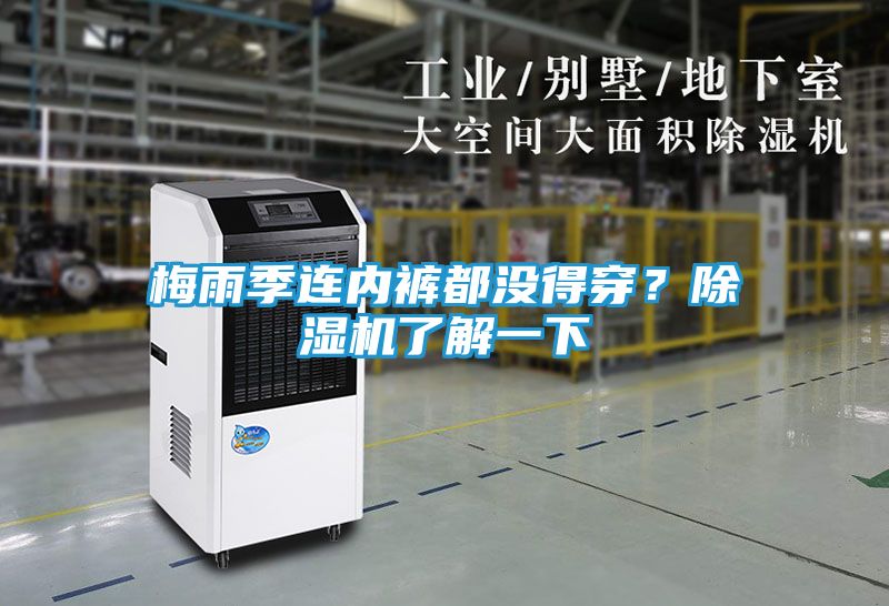 梅雨季连内裤都没得穿?除湿机了解一下