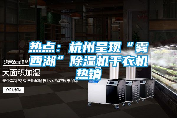 热点:杭州呈现“雾西湖”除湿机干衣机热销