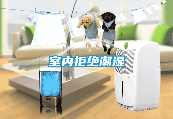 室内拒绝潮湿
