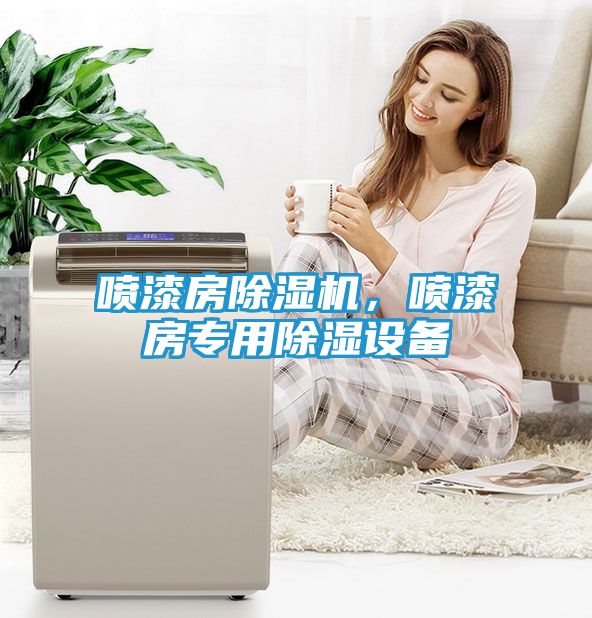 喷漆房除湿机，喷漆房专用除湿设备
