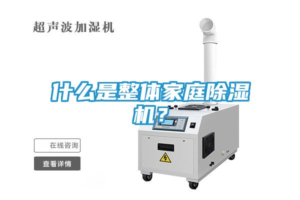 什么是整体家庭除湿机？