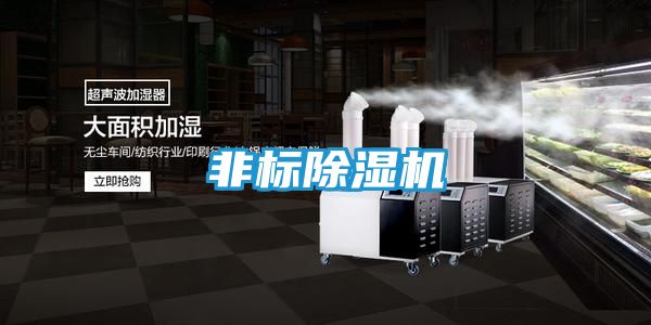 非标除湿机