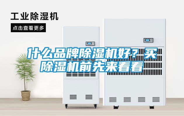 什么品牌除湿机好？买除湿机前先来看看