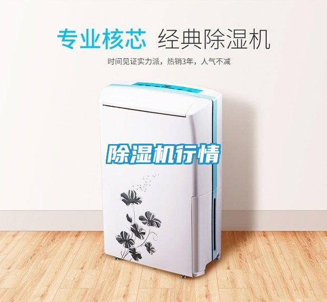 除湿机行情