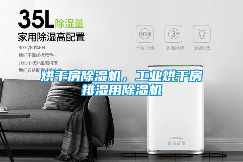 烘干房除湿机，工业烘干房排湿用除湿机