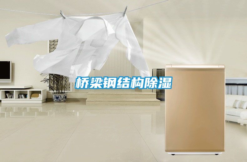 桥梁钢结构除湿