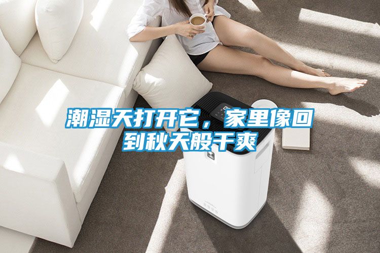 潮湿天打开它,家里像回到秋天般干爽