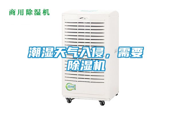潮湿天气入侵,需要除湿机