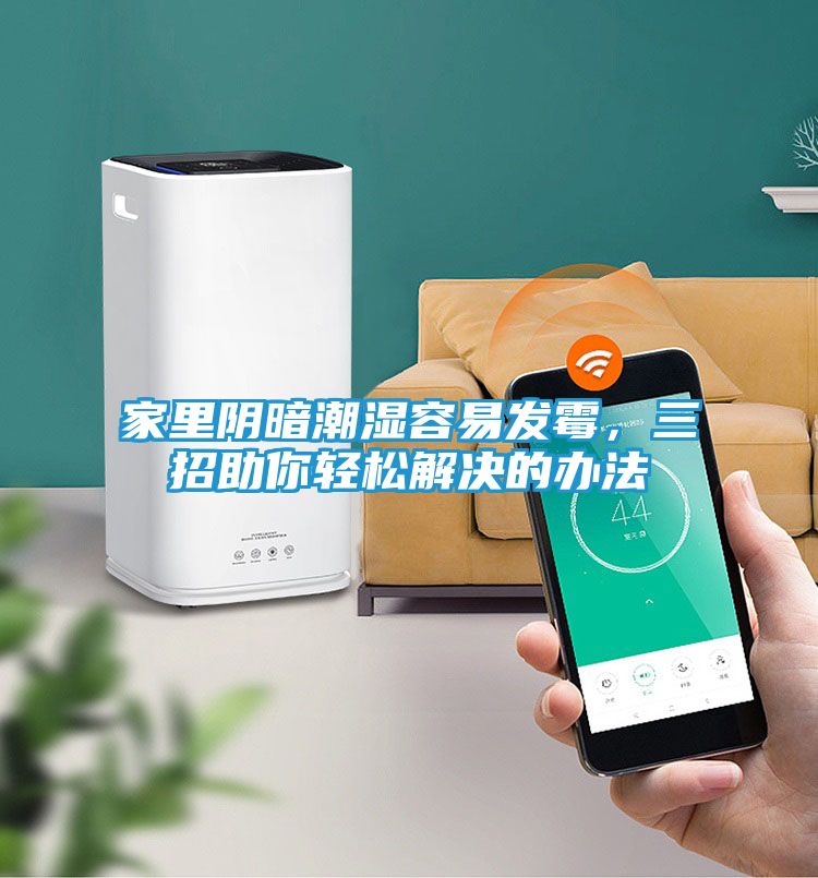 家里阴暗潮湿容易发霉，三招助你轻松解决的办法