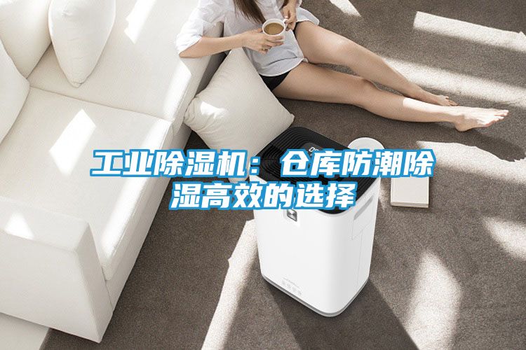 工业除湿机：仓库防潮除湿高效的选择