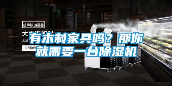 有木制家具吗?那你就需要一台除湿机