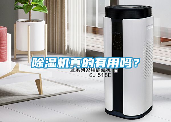 除湿机真的有用吗？